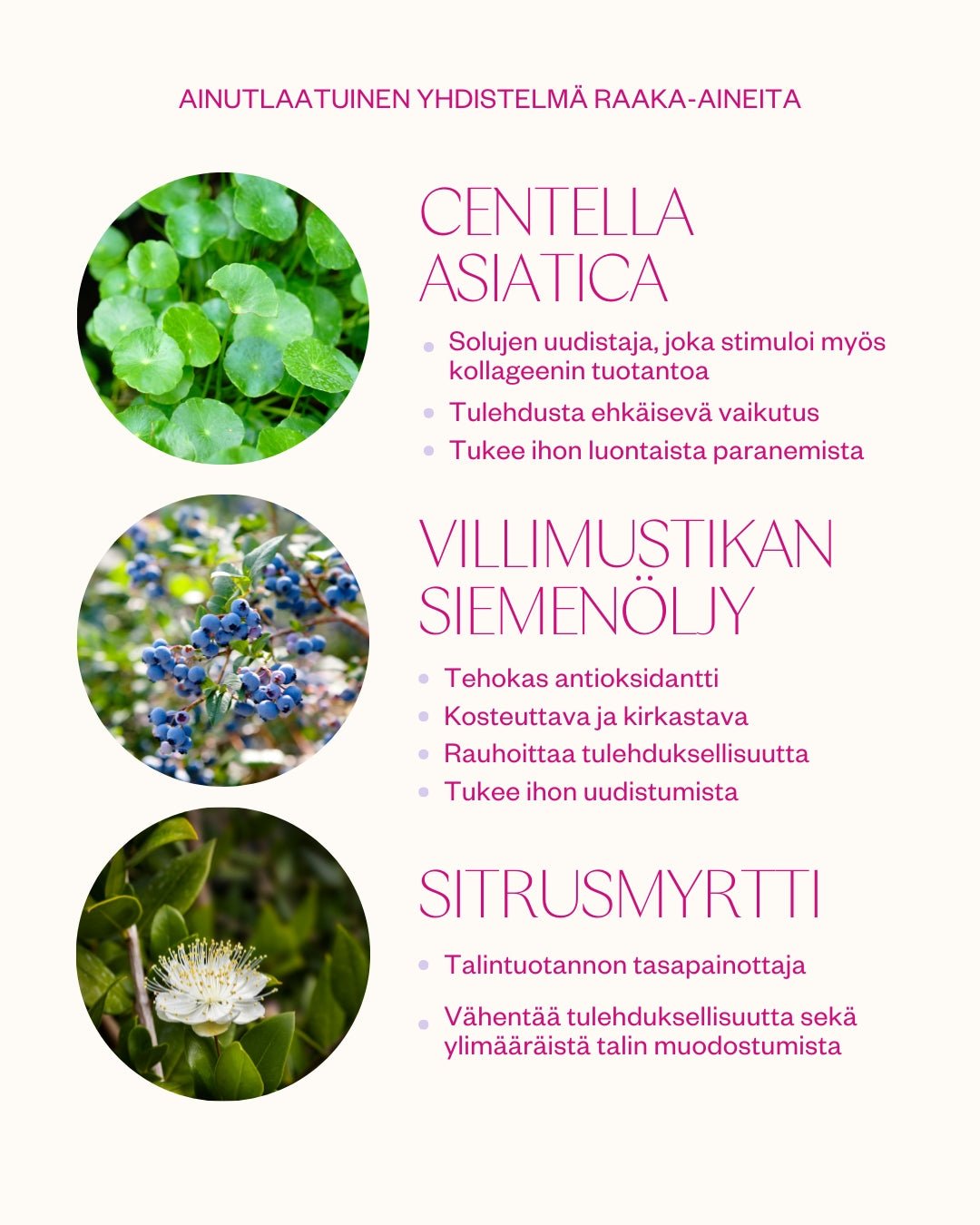 Flow Cosmetics Bilberry & Centella Moisture Cream 50ml - 4Organic Store (Luomukaista)
