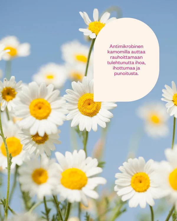 UUTTA! Flow Cosmetics Chamomile & Probiotics probioottinen luomu kamomillavesi, 100ml - 4Organic Store (Luomukaista)