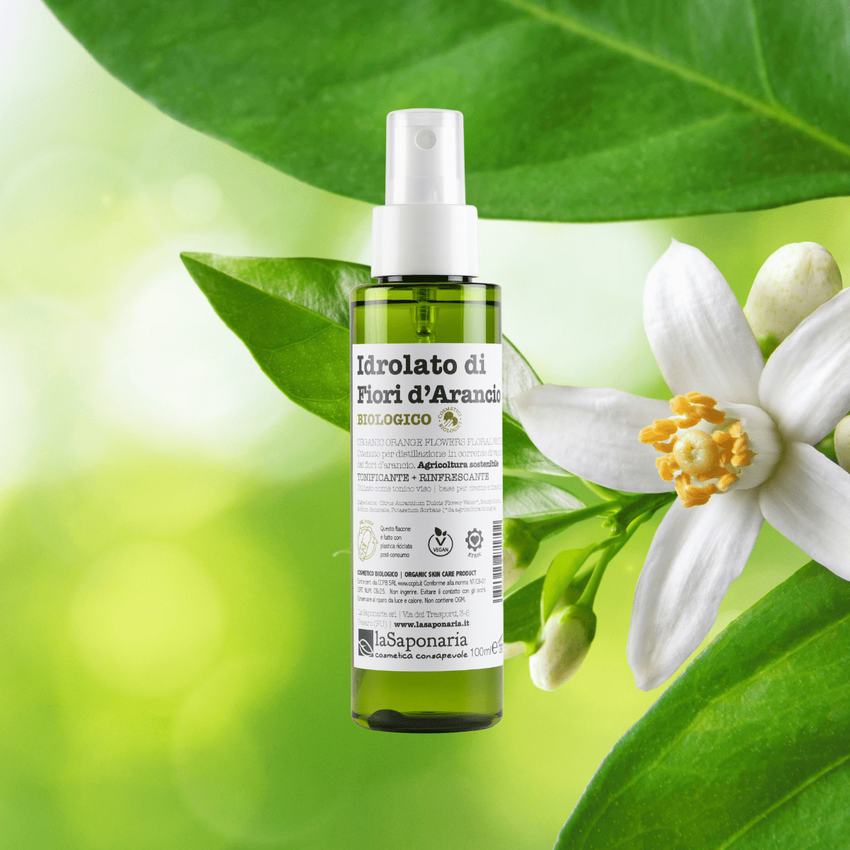 UUTUUS! La Saponaria Orange Blossom Hydrolat - appelsiinikukkaisvesi, 100 ml - 4Organic Store (Luomukaista)