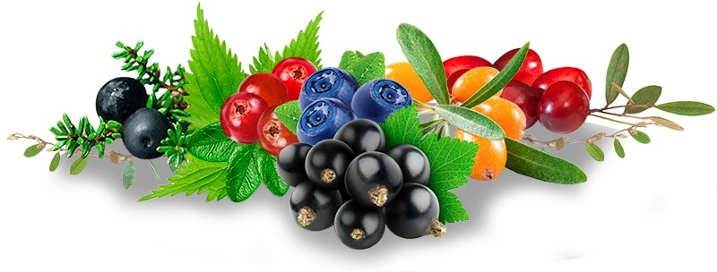 Arctic Nutrition Elixir - 4Organic Store