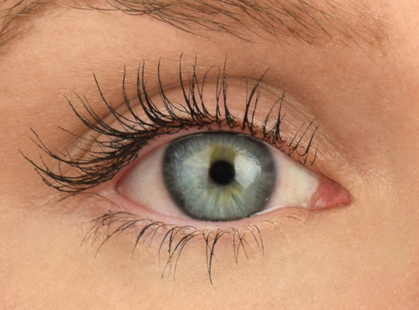 Boho Jungle Longeur Pidentävä mascara - 4organic Store