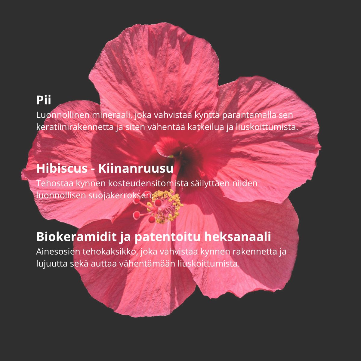 Charlotte Bio Kynsilakka 13, Rose Vintage, 10 ml - 4Organic Store (Luomukaista)