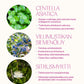 Flow Cosmetics Bilberry & Centella Moisture Cream 50ml - 4Organic Store (Luomukaista)