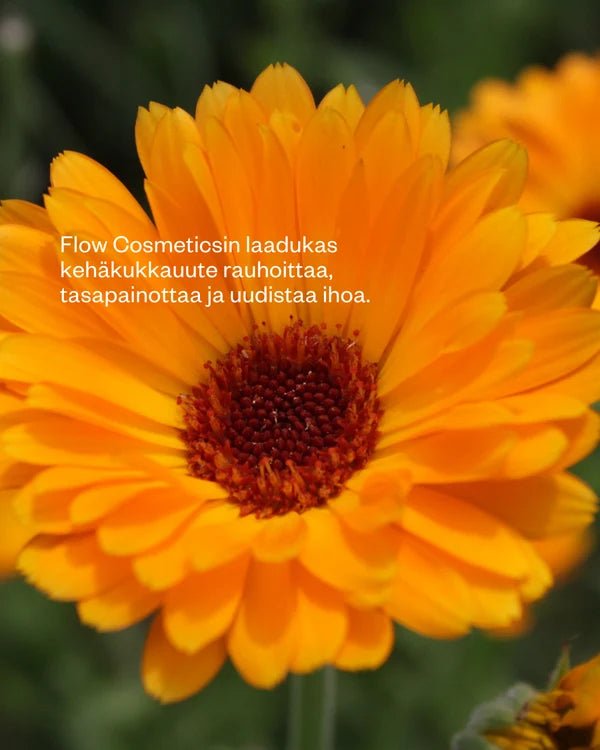 Flow Cosmetics Marigold Butter 130ml - 4Organic Store (Luomukaista)
