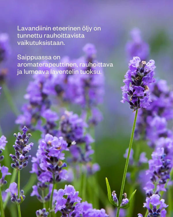 UUTUUS! Flow Cosmetics Lavender palasaippua - 4Organic Store (Luomukaista)